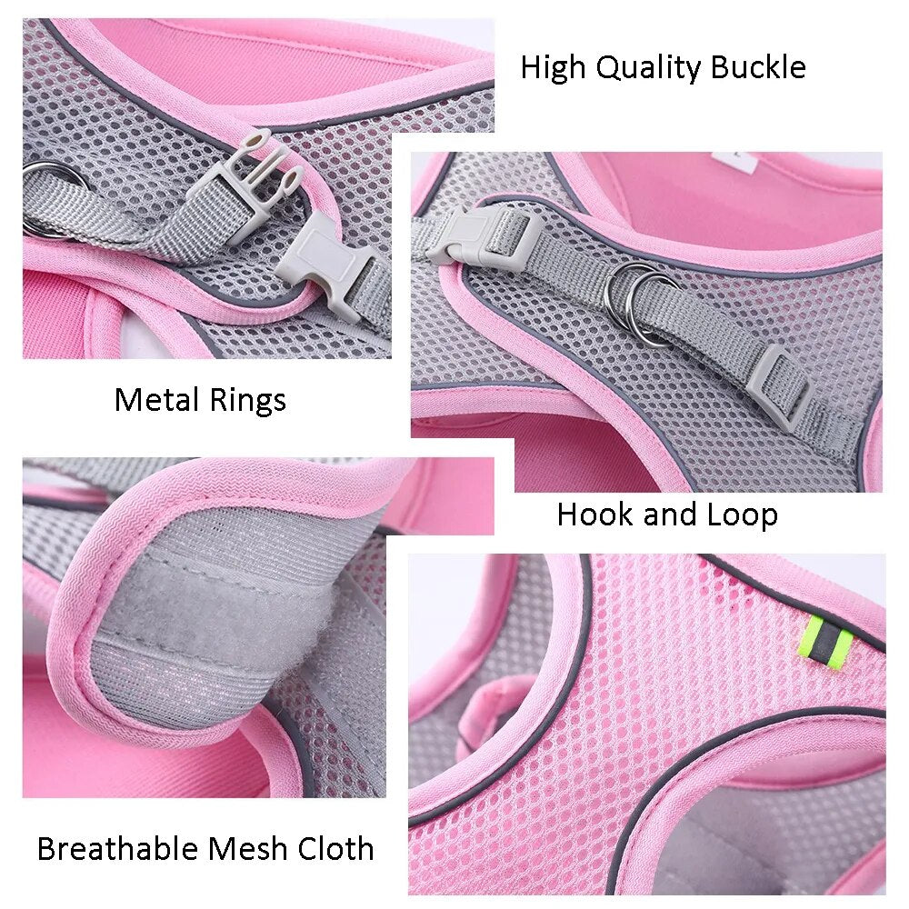 Escape Proof Cat Harness and Leash Set